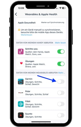 Phone view Wearables 2 DE